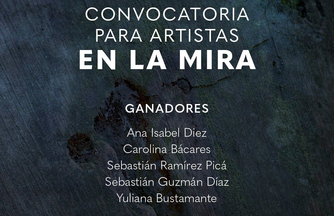 Estos son los proyectos ganadores de la convocatoria “En La Mira”.