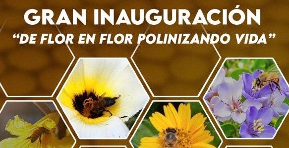 Exposición fotográfica “De flor en flor: Polinizando vida”.