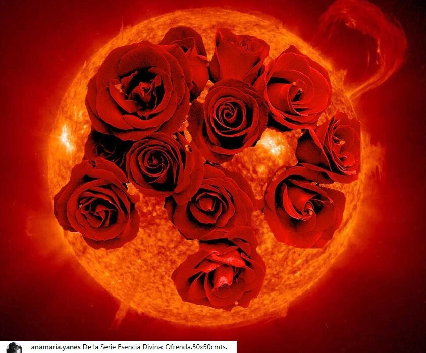 Ana María Yanes: la contemplación como acto fotográfico