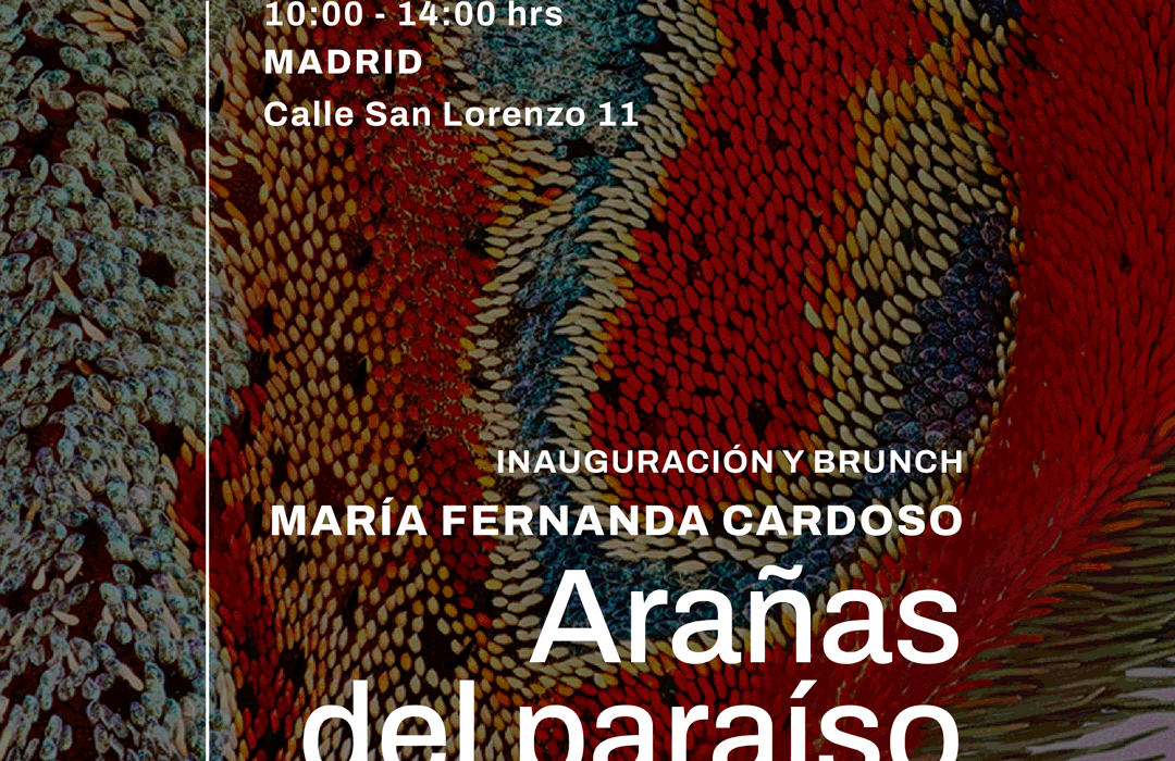 María Fernanda Cardoso | Colombia, Miami, Madrid!