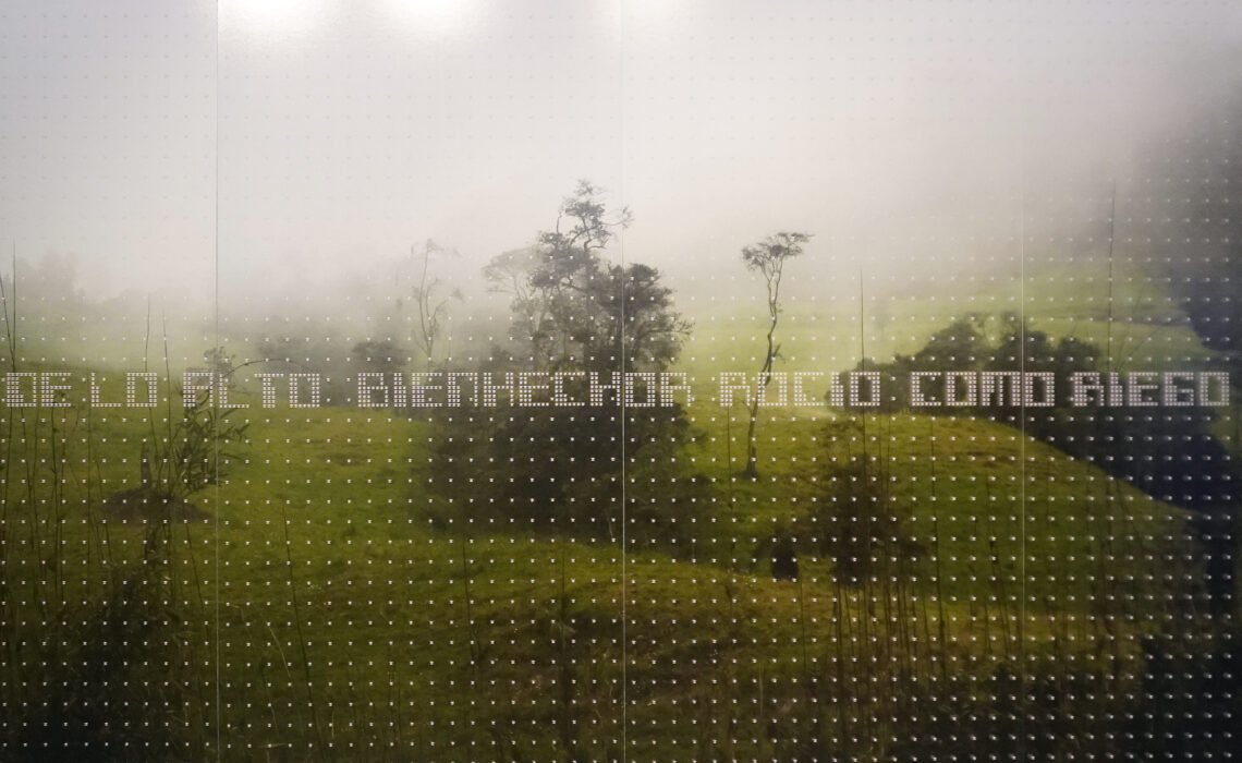 Miguel Ángel Rojas y Santa (2006): paisaje, memoria y crítica política